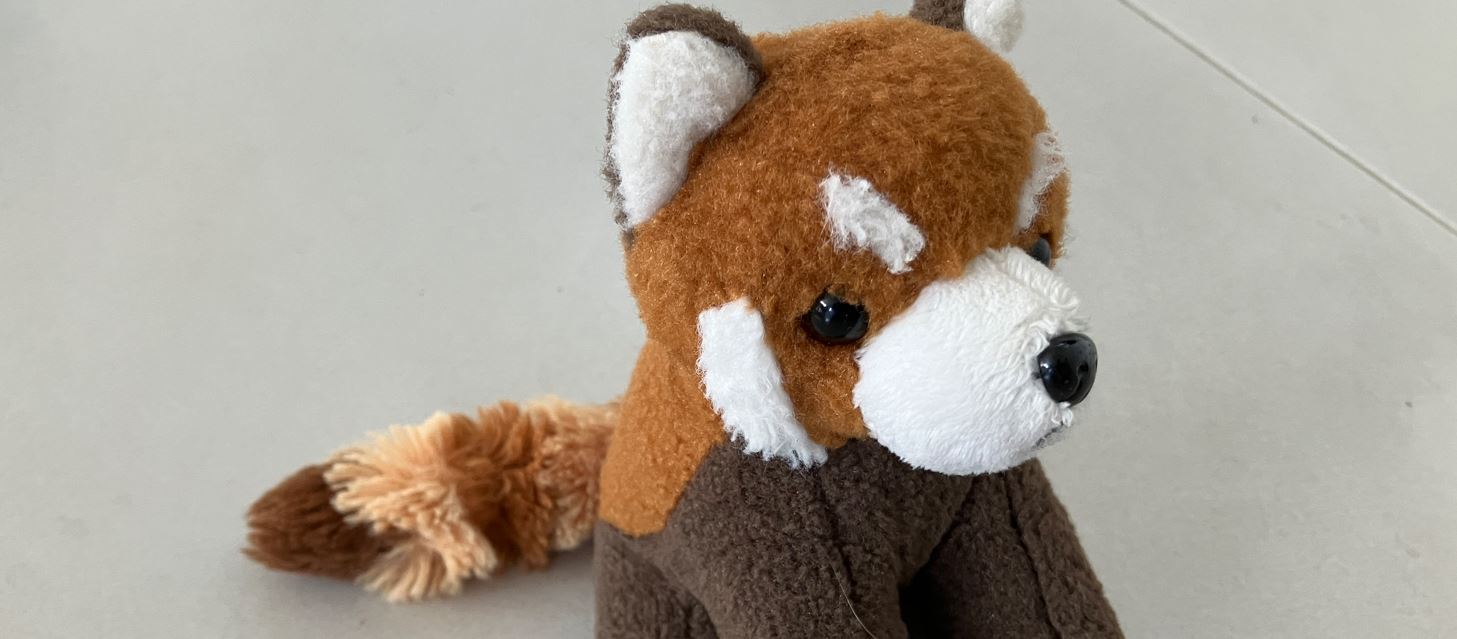 Read more about the article New Sleep Story – Harry The Red Panda