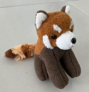 Read more about the article New Sleep Story – Harry The Red Panda